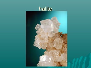 halitehalite
 