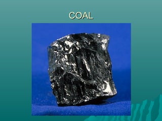 COALCOAL
 