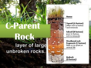 Rocks and soils | PPTX