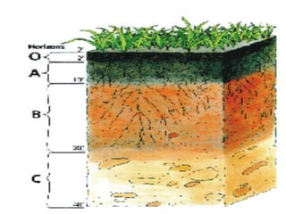 Rocks and soils | PPTX