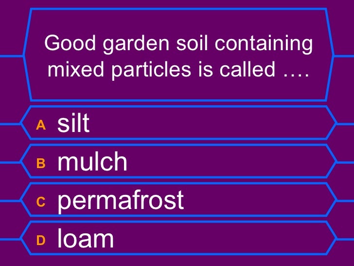 Rocks and Soils Quiz