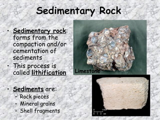 Sedimentary Rock
• Sedimentary rock:
forms from the
compaction and/or
cementation of
sediments
• This process is
called lithification
• Sediments are:
– Rock pieces
– Mineral grains
– Shell fragments
Limestone
 