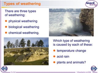 Types of weathering 
Which type of weathering 
is caused by each of these: 
 temperature change 
 acid rain 
 plants and animals? 
There are three types 
of weathering: 
 physical weathering 
 biological weathering 
 chemical weathering. 
15 of 42 © Boardworks Ltd 2008 
 