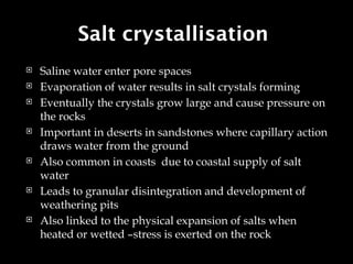 Salt Crystallisation Rocks rocks and weathering (Geomorphology )2.pptx