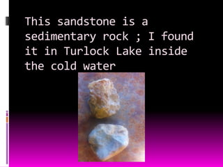 This sandstone is a
sedimentary rock ; I found
it in Turlock Lake inside
the cold water
 