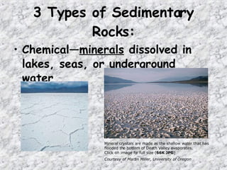 • Chemical—minerals dissolved in
lakes, seas, or underground
water
3 Types of Sedimentary
Rocks:
Mineral crystals are made as the shallow water that has
flooded the bottom of Death Valley evaporates.
Click on image fo
r full size (66K JPG)
Courtesy of Martin Miller, University of Oregon
 