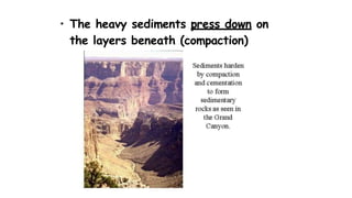 • The heavy sediments press down on
the layers beneath (compaction)
 