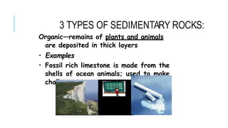 Organic—remains of plants and animals
are deposited in thick layers
• Examples
• Fossil rich limestone is made from the
shells of ocean animals; used to make
chalk
3 TYPES OF SEDIMENTARY ROCKS:
 
