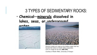 • Chemical—minerals dissolved in
lakes, seas, or underground
water
3 TYPES OF SEDIMENTARY ROCKS:
Mineral crystals are made as the shallow water that has
flooded the bottom of Death Valley evaporates.
Click on image fo
r full size (66K JPG)
Courtesy of Martin Miller, University of Oregon
 