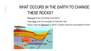 WHAT OCCURS IN THE EARTH TO CHANGE
THESE ROCKS?
• Pressure from overlying rock layers
• High heat, but not enough to melt the rock
• Rocks may be flattened or bent or atoms may be exchanged to form
new minerals.
 