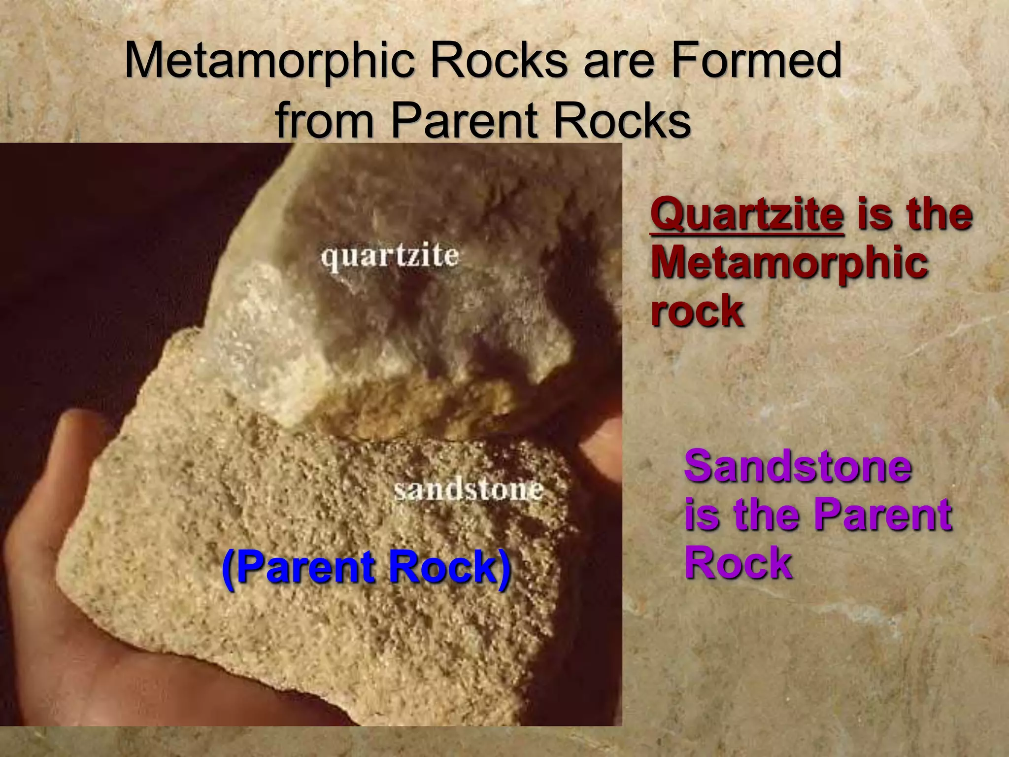 Metamorphic Rocks are Formed
from Parent Rocks
(Parent Rock)
Quartzite is the
Metamorphic
rock
Sandstone
is the Parent
Rock
 