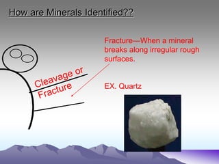 How are Minerals Identified??
Fracture—When a mineral
breaks along irregular rough
surfaces.
EX. Quartz
 