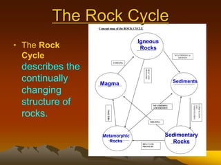 The Rock Cycle
• The Rock
Cycle
describes the
continually
changing
structure of
rocks.
Sedimentary
Rocks
Igneous
Rocks
Metamorphic
Rocks
Magma Sediments
 