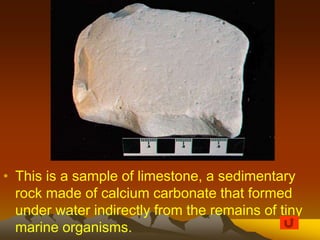 • This is a sample of limestone, a sedimentary
rock made of calcium carbonate that formed
under water indirectly from the remains of tiny
marine organisms.
 