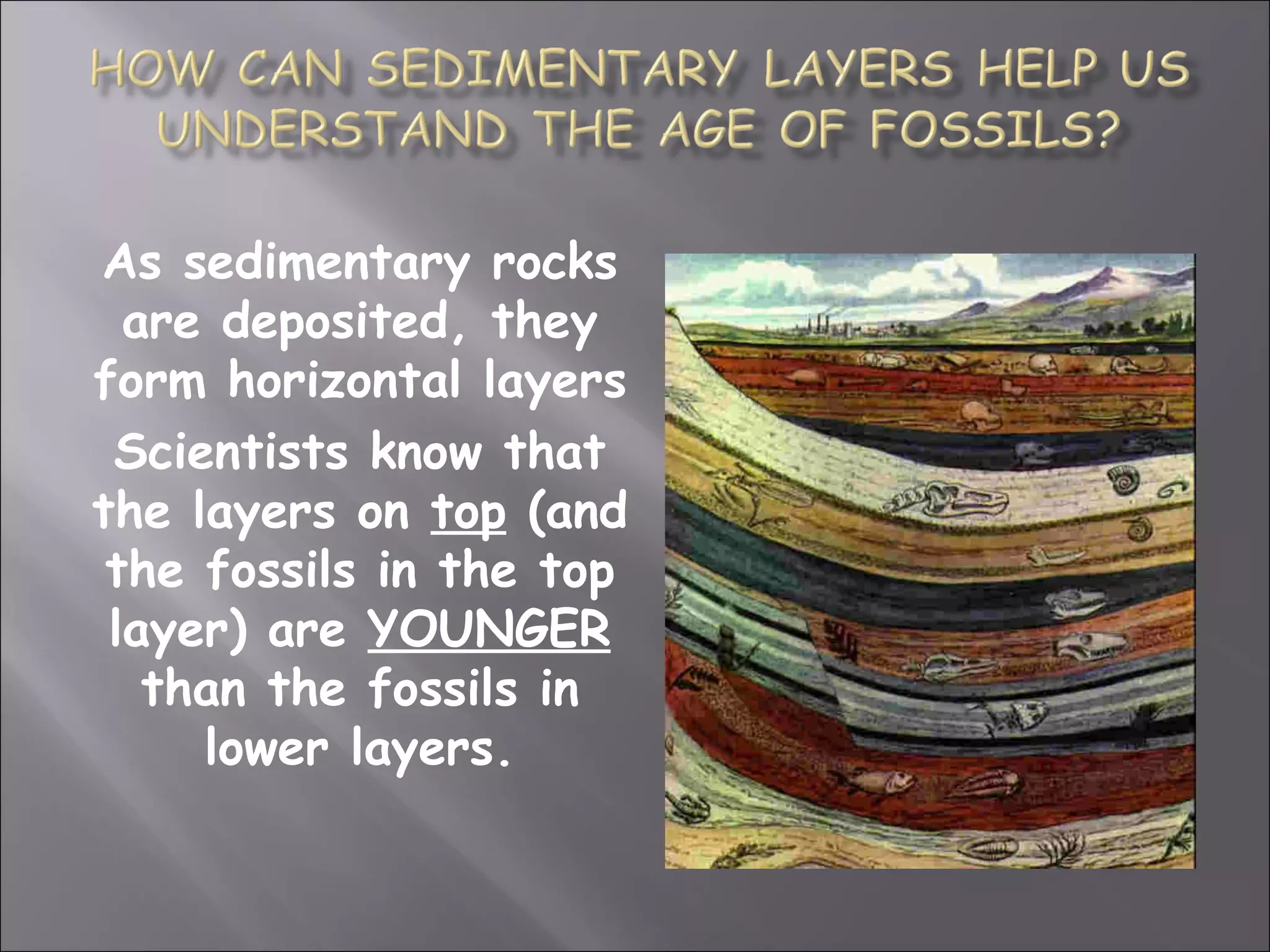 As sedimentary rocks
  are deposited, they
form horizontal layers
 Scientists know that
the layers on top (and
 the fossils in the top
 layer) are YOUNGER
   than the fossils in
     lower layers.
 
