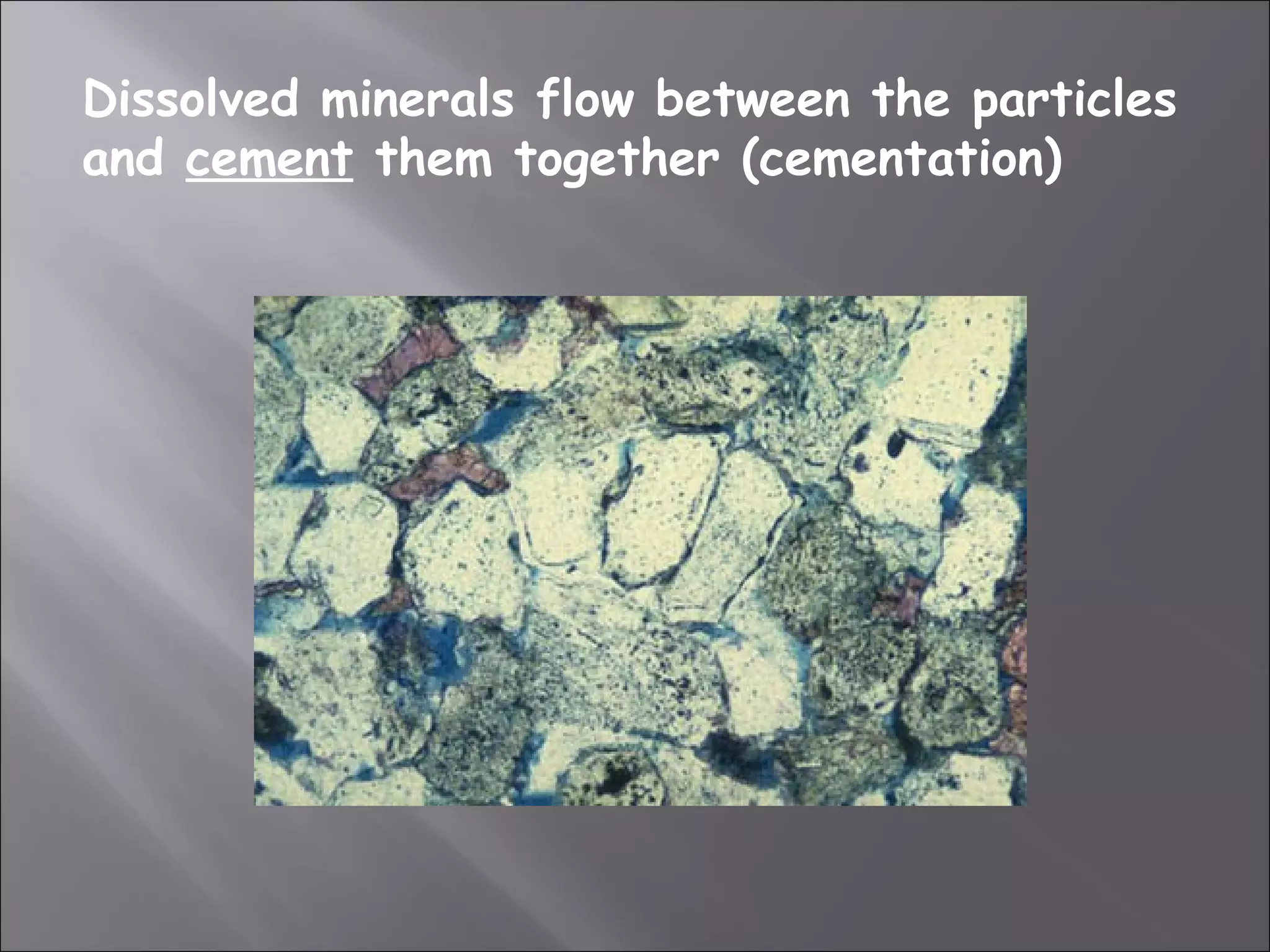 Dissolved minerals flow between the particles
and cement them together (cementation)
 