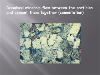 Dissolved minerals flow between the particles
and cement them together (cementation)
 