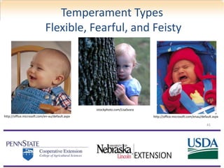 Temperament Types
Flexible, Fearful, and Feisty
istockphoto.com/LisaSvara
http://office.microsoft.com/en-au/default.aspx http://office.microsoft.com/enau/default.aspx
41
 