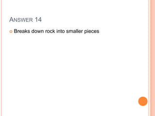 ANSWER 14
 Breaks down rock into smaller pieces
 