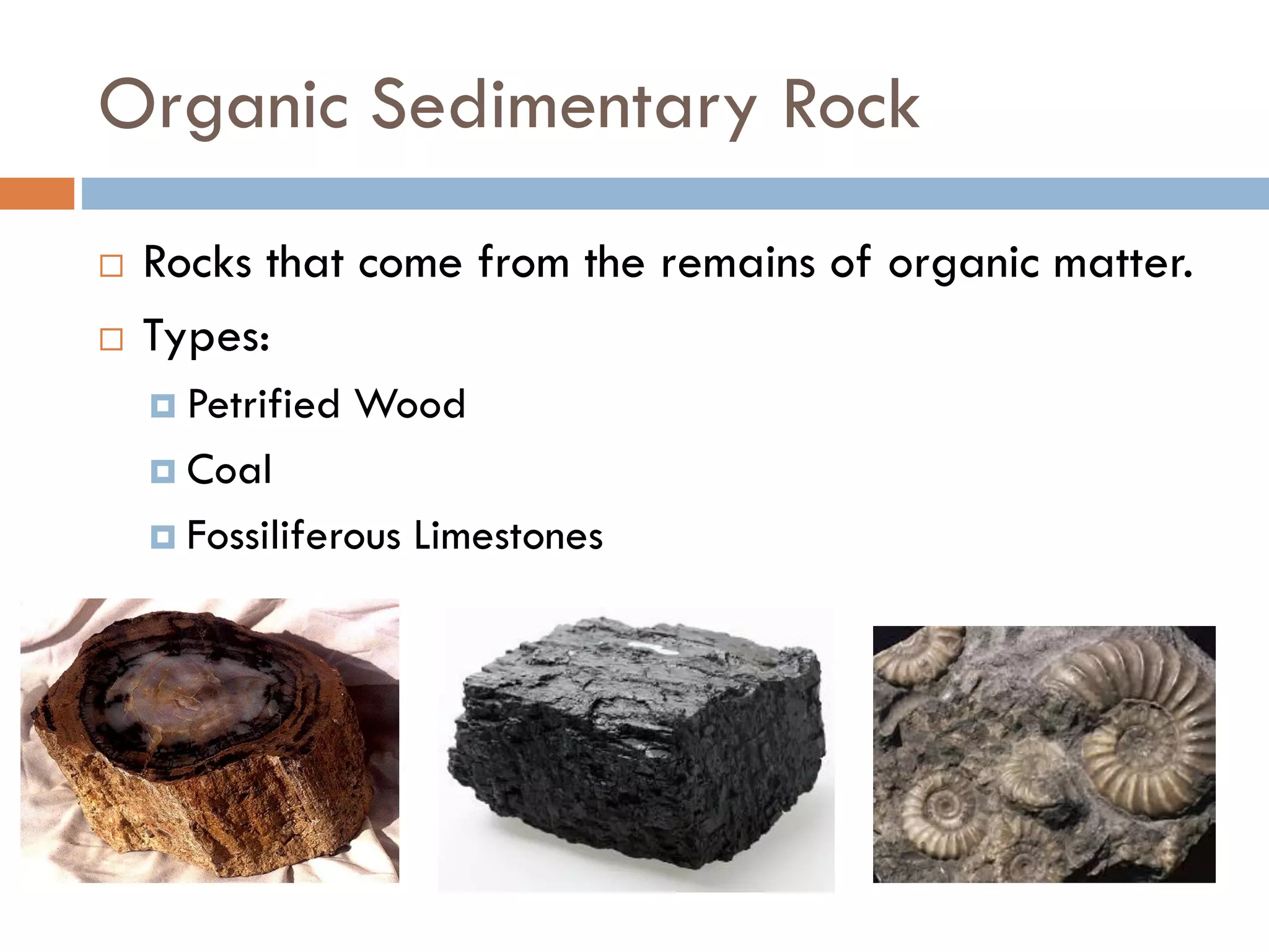 Rocks - Sedimentary | PDF, image size:2048x1536