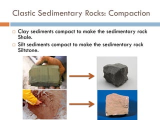 Rocks - Sedimentary | PDF