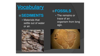 Rocks ~Sedimentary rocks form from earlier rocks~.pptx