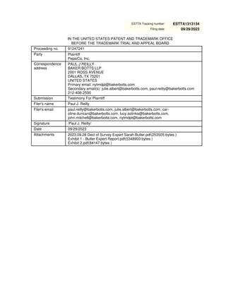 Estta Filing Examples TTAB Rockstar Decision and Expert Report | PDF