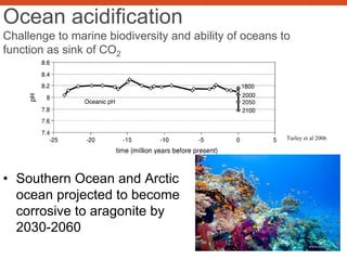 Ocean acidification
Challenge to marine biodiversity and ability of oceans to
function as sink of CO2
• Southern Ocean and Arctic
ocean projected to become
corrosive to aragonite by
2030-2060
Turley et al 2006
 