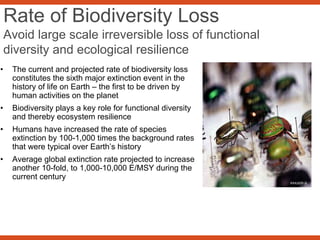 Rate of Biodiversity Loss
Avoid large scale irreversible loss of functional
diversity and ecological resilience
• The current and projected rate of biodiversity loss
constitutes the sixth major extinction event in the
history of life on Earth – the first to be driven by
human activities on the planet
• Biodiversity plays a key role for functional diversity
and thereby ecosystem resilience
• Humans have increased the rate of species
extinction by 100-1,000 times the background rates
that were typical over Earth’s history
• Average global extinction rate projected to increase
another 10-fold, to 1,000-10,000 E/MSY during the
current century
 