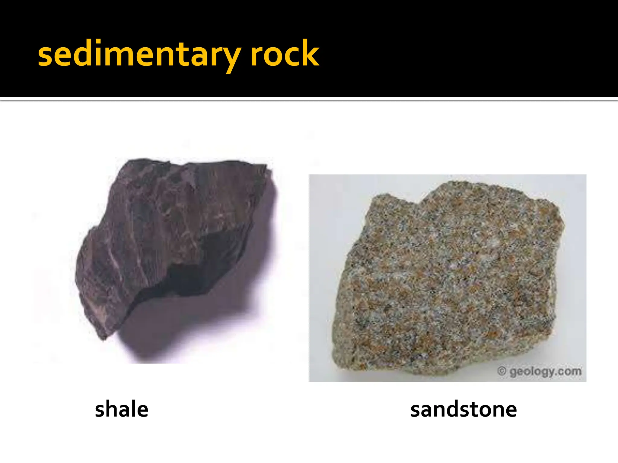 sedimentary rock
shale sandstone
 