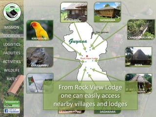 SURAMA      IWOKRAMA

MISSION

LOCATION                                               CANOPY WALKWAY
             KARASSABAI

LOGISTICS

FACILITIES

ACTIVITIES
             KARANAMBU                                    REWA
WILDLIFE

  RATES

              LETHEM
                           From Rock View Lodge         MAIPAIMA
                            one can easily access
                          nearby villages and lodges
                            CAIMAN HOUSE   DADANAWA
 