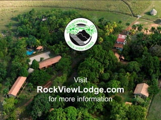 MISSION

LOCATION

LOGISTICS

FACILITIES

ACTIVITIES

WILDLIFE

  RATES               Visit
             RockViewLodge.com
               for more information
 