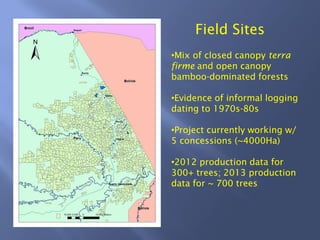 Field Sites
Mix of closed canopy terra
firme and open canopy
bamboo-dominated forests
Evidence of informal logging
dating to 1970s-80s
Project currently working w/
5 concessions (~4000Ha)
2012 production data for
300+ trees; 2013 production
data for ~ 700 trees
 