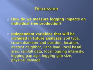 How do we measure logging impacts on
individual tree production?
Independent variables that will be
included in future analyses: soil type,
crown diameter and position, location,
nearest neighbor, liana load, local basal
area, rainfall data, local logging intensity,
logging gap age, logging gap size,
physical damage
 