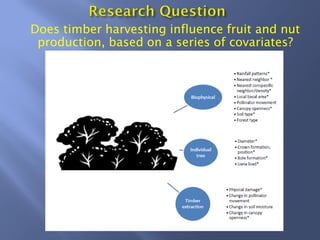Does timber harvesting influence fruit and nut
production, based on a series of covariates?
 