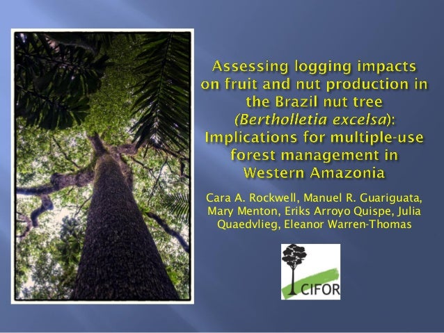 Assessing Logging Impacts On Fruit And Nut Production In The Brazil N