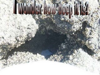 I wonder how deep it is? 