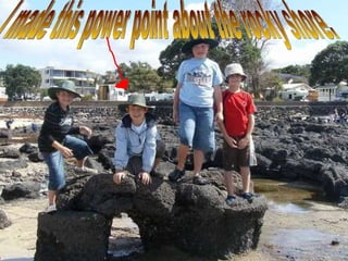 I made this power point about the rocky shore. 