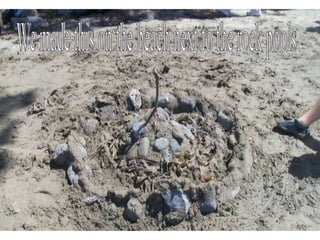 We made this on the beach next to the rock pools 