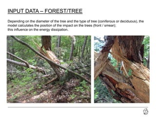 21-07-2014 Presentazione progetto
INPUT DATA – FOREST/TREE
Depending on the diameter of the tree and the type of tree (coniferous or deciduous), the
model calculates the position of the impact on the trees (front / smear);
this influence on the energy dissipation.
 