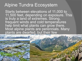Rocky mountain region | PPTX