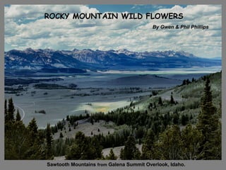 ROCKY MOUNTAIN WILD FLOWERS
By Gwen & Phil Phillips

Sawtooth Mountains from Galena Summit Overlook, Idaho.

 