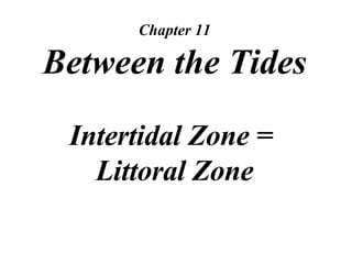 Chapter 11 Between the Tides Intertidal Zone =  Littoral Zone 