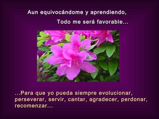 Aun equivocándome y aprendiendo,  Todo me será favorable... ...Para que yo pueda siempre evolucionar, perseverar, servir, cantar, agradecer, perdonar, recomenzar... 
