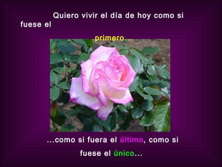 Quiero vivir el día de hoy como si fuese el primero... ...como si fuera el   último , como si  fuese el  único ...  