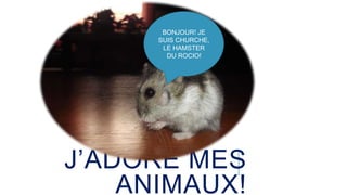 BONJOUR! JE
SUIS CHURCHE,
LE HAMSTER
DU ROCIO!
J’ADORE MES
ANIMAUX!