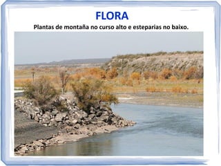 Lagoas na
cunca do
río Salado

 