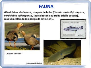 Curso alto

Caldén

Curso baixo

 