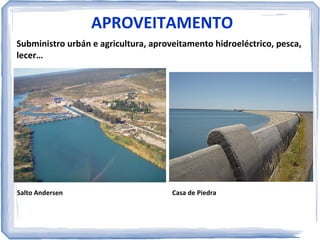 FAUNA
Olivaichthys viedmensis, lamprea de bolsa (Geotria australis), mojarra,
Percichthys colhuapensis, (perca bocona ou troita criolla bocona),
cauquén colorado (en perigo de extinción)...

Cauquén colorado

Lamprea de bolsa

 