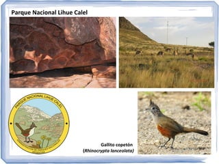 ESPAZOS PROTEXIDOS
Encoro Casa de Pedra

 